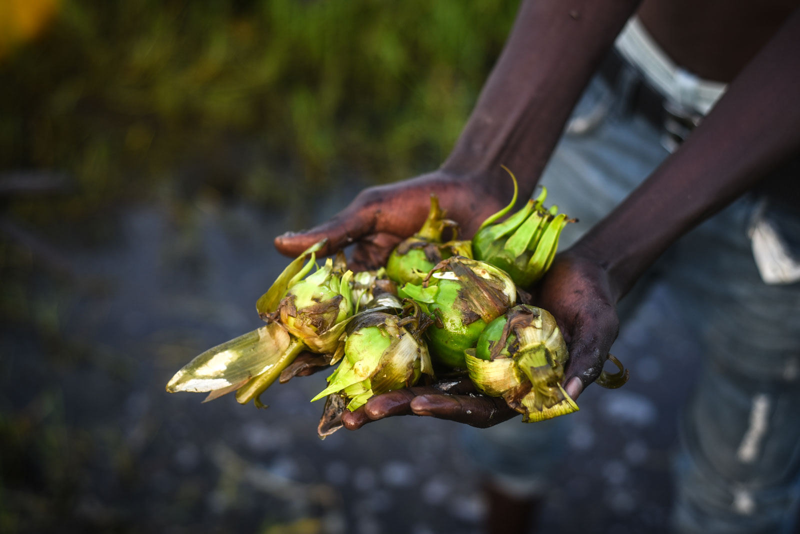 Credit: Jason Patinkin